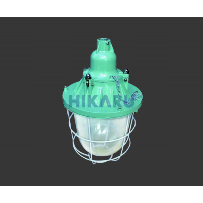 ĐÈN CHỐNG CHÁY NỔ HKR-ELW4001/100W