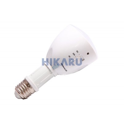 Đèn chiếu khẩn cấp 4W