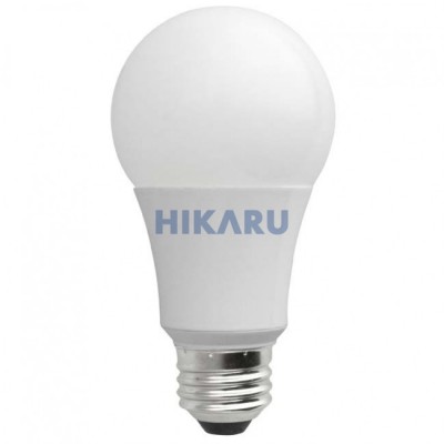 Đèn Led Bulb tròn